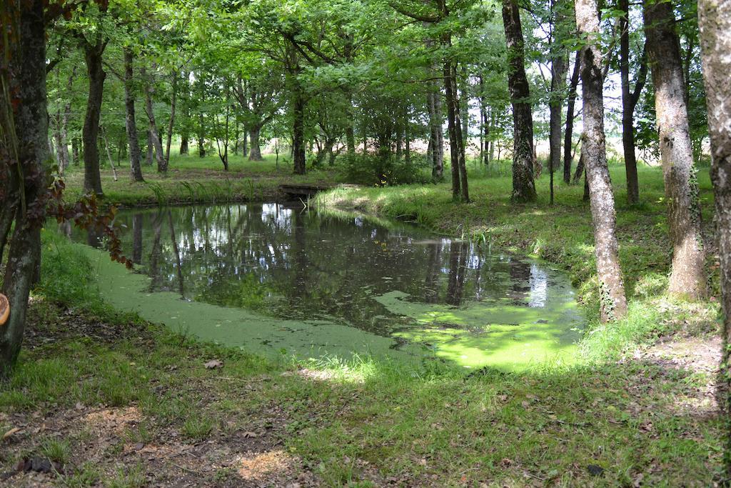Gite De La Ronceraie Chaumont-sur-Loire Ngoại thất bức ảnh