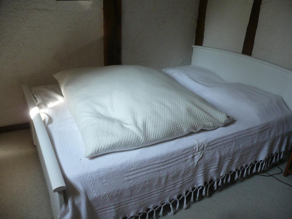 Gite De La Ronceraie Chaumont-sur-Loire Phòng bức ảnh
